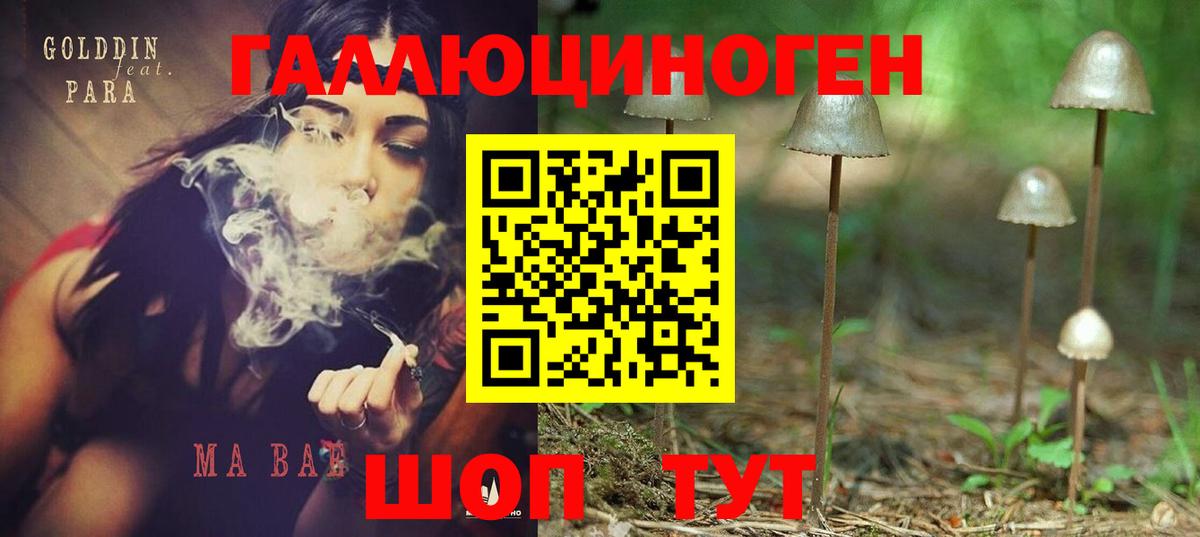 Псилоцибиновые грибы Psilocybine cubensis  Вход с VPN  Семилуки 